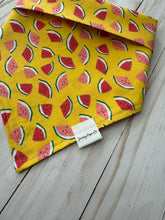 Sweet Sugar Watermelon Bandana