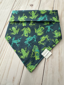 Tree Top Frog Bandana