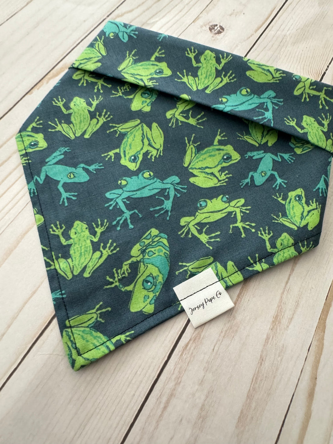 Tree Top Frog Bandana