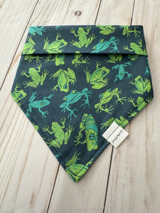 Tree Top Frog Bandana