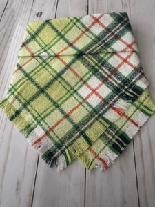 Granny Smith Bandana