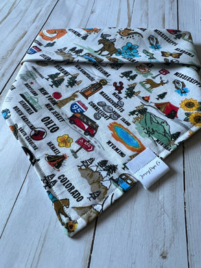 Country Roads Bandana