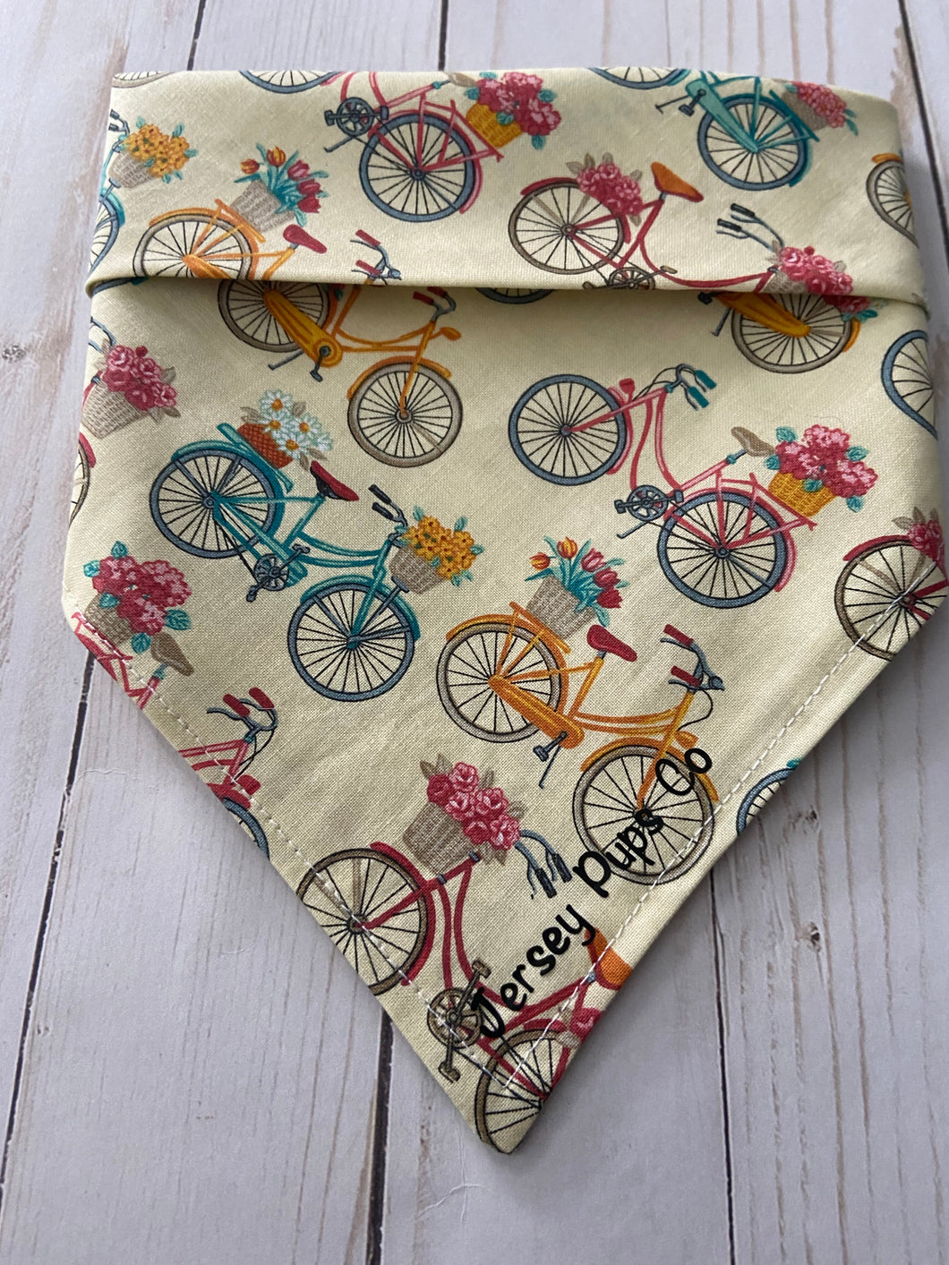 Springtime Bike Ride Bandana
