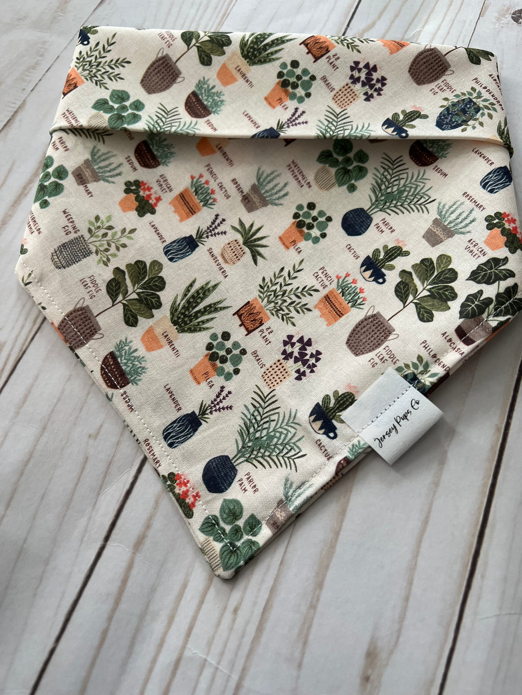 Plant Moms Bandana