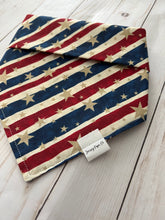 Allegiance to the Flag Bandana