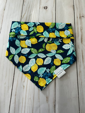 Lotta Lemons Bandana